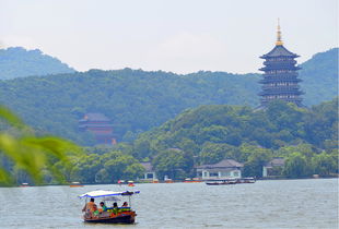 杭州夏日行