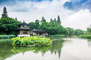 国庆假期人气最旺的免费景区,位于杭州, 只见人头不见湖