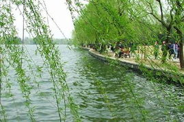 杭州宋城千古情1日游特价专列，限时抢购仅此一班