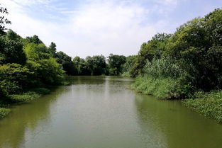 记淳安之美 忆杭州之情——北京出发六日家庭轻松自由行全攻略